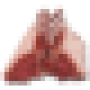 raw_mutton.png