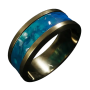 2r63guardian_s_ring.png